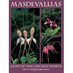 Masdevallias: Gems of the Orchid World