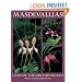 Masdevallias: Gems of the Orchid World