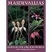 Masdevallias: Gems of the Orchid World