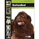 Newfoundland (Dog Breed Expert Series)