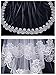 Passat 3M Long Lace Ivory Birdcage Bridal Veils Wedding Cathedral Long Veil H16