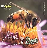 Egg to bee