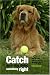 Catch Your Dog Doing Something Right: How to Train Any Dog in Five Minutes a Day