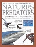 Nature's Predators (The illustrated wildlife encyclopedia)