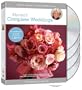 The Martha Stewart Wedding Collection - Martha's Complete Weddings