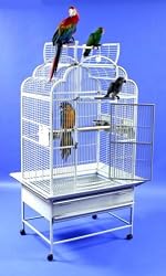 Polly's Pleasures Victorian Wrought Iron Bird Cage 32 X 23