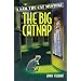 The Big Catnap (Sam the Cat Mysteries, No. 2)