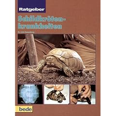 Ratgeber Schildkr�tenkrankheiten