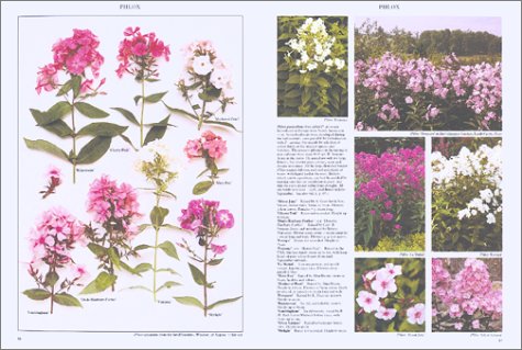 Perennials: The Definitive Reference with Over 2,500 Photographs