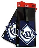 Tampa Bay Devil Rays Two Pack Soft Laser Bag Tag