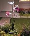 Solar Iris Butterfly Garden Stake Bouquet