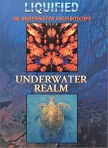 Liquified/ Underwater Realm