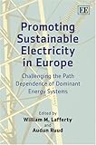 Promoting sustainable electricity in Europe : challenging the path dependence of dominant energy systems