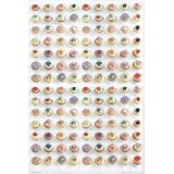 (24x36) Cupcakes (Grid) Art Poster Print