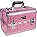 SHANY Premier Fantasy Collection Makeup Artists Cosmetics Train Case - Pink diamond