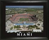 Miami Dolphins - Dolphins aka Pro Player Stadium - Lg - Framed Poster Print