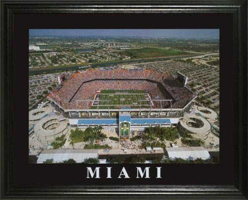 Miami Dolphins - Dolphins aka Pro Player Stadium - Lg - Framed Poster Print