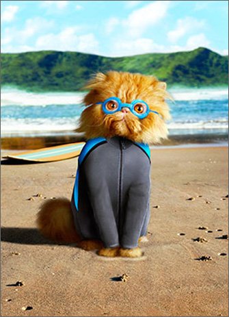 Cat In Wetsuit Funny Birthday Card