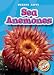 Books : Sea Anemones (Blastoff! Readers, Oceans Alive)