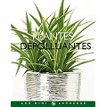 Plantes d�polluantes