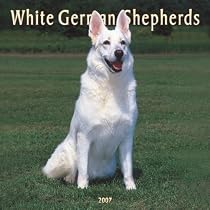 White German Shepherds 2007 Calendar