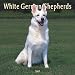 White German Shepherds 2007 Calendar