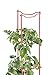 Gardener's Supply Company Tomato Ladders Heavy Gauge - Set of 3 | Powder-Coated Steel Upright Vegetable Support | V-Shape Design Holds Up to 100 Pounds!