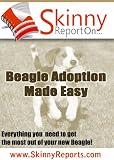 Beagle Adoption Made Easy: Everything you need to get the most out of your new Beagle (Skinny Report)