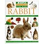 Rabbit (ASPCA Pet Care Guides)