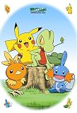 70ピース ポケモンAG ぼくらにおまかせ! AM70-24