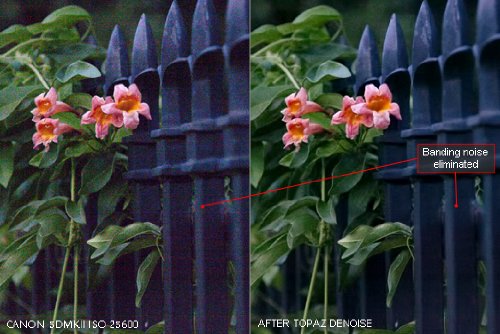 Topaz DeNoise (Mac & Windows)