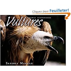 Vultures