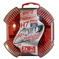 Light Distribution - Autolampenbox H7 White Hammer