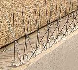 Tools & Hardware : Stainless Steel Bird Spikes 24'L
