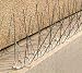 Stainless Steel 3" spikes - 24ft