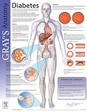 Diabetes (Grays Anatomy Poster Series)
