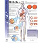 Diabetes: Gray's Anatomy Poster Series (Gray's Anatomy Poster) by Roger Gadsby