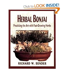 Herbal Bonsai: Practicing the Art With Fast-Growing Herbs