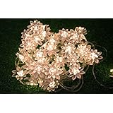 LED String Lights 4M/13feet 40 LED Lotus Flower for Chrismas, Party, Wedding, Indoor, Garden D&eacute;cor (Warm white)