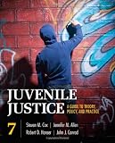 Juvenile Justice: A Guide to Theory, Policy, and Practice