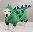 SMALL - Dogzilla Dog Costume SMALL - Dogzilla Dog Costume