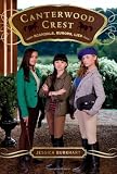 Scandals, Rumors, Lies by Jessica Burkhart (Nov 16 2010)