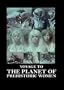 Voyage to the Planet of Prehistoric Women
