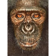 James and Other Apes