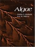 Algae