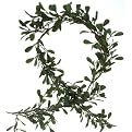 Smith & Hawken&reg; Mistletoe Garland