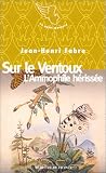 Sur le Ventoux : L\'Ammophile hérissée