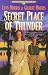 Book Secret Place of Thunder (Cheney Duvall, M.D. Series #5)