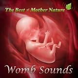 Womb Sounds For Colic and Baby Relaxation