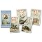 buy the right Lenormand deck for you